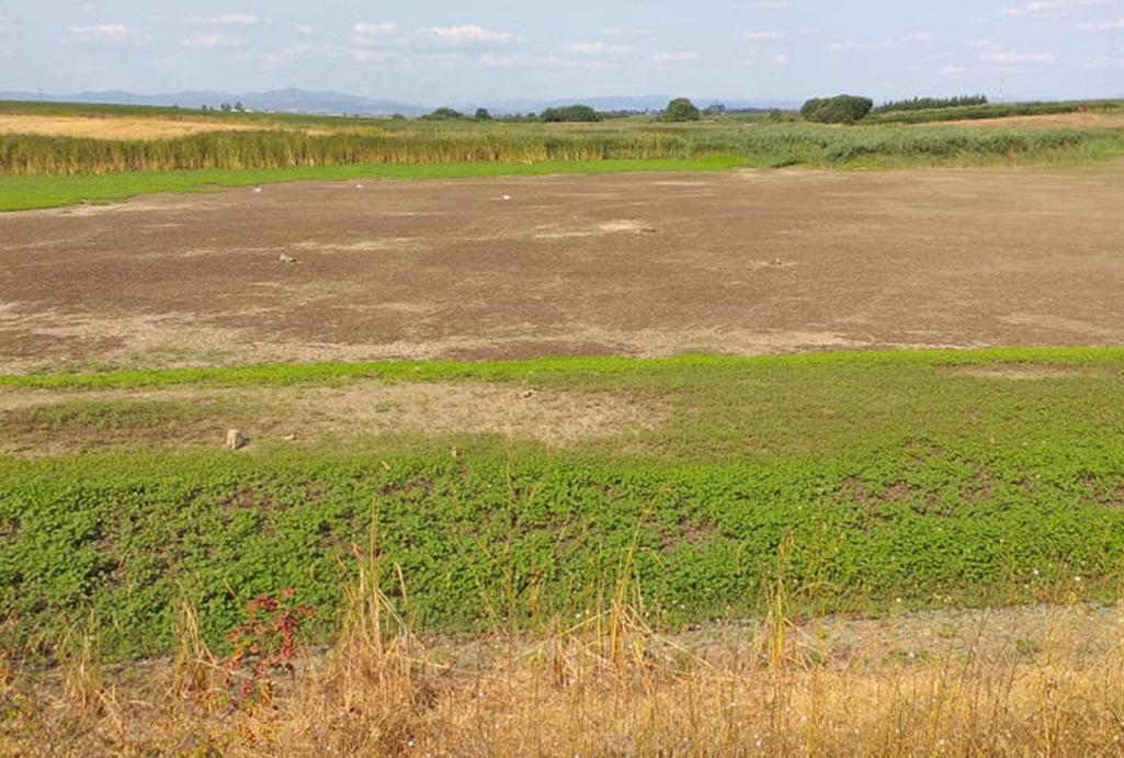 kozani-megali-ptosi-tis-stathmis-tis-limnis-polyfytou-239604