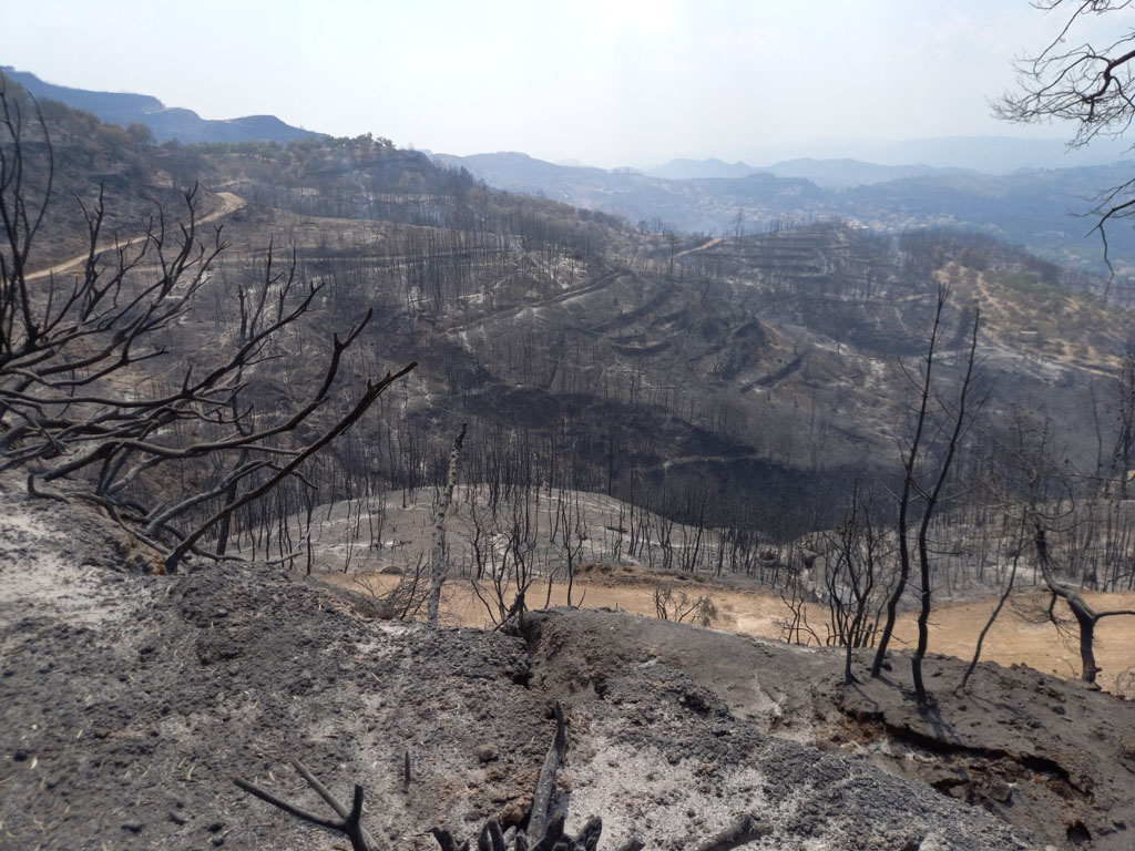 oasi-sto-syllalitirio-ton-agroton-tis-ileias-tin-pebti-2-9-o-kostas-kazakos-kai-o-dionysis-tsaknis-239930