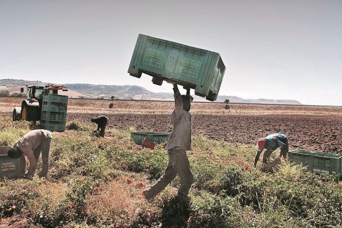 Migrant workers. Italy.