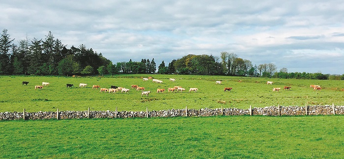 teagasc-oi-agrotes-tis-irlandias-meionoun-ta-aeria-tou-thermokipiou-meso-tis-symvouleftikis-240002