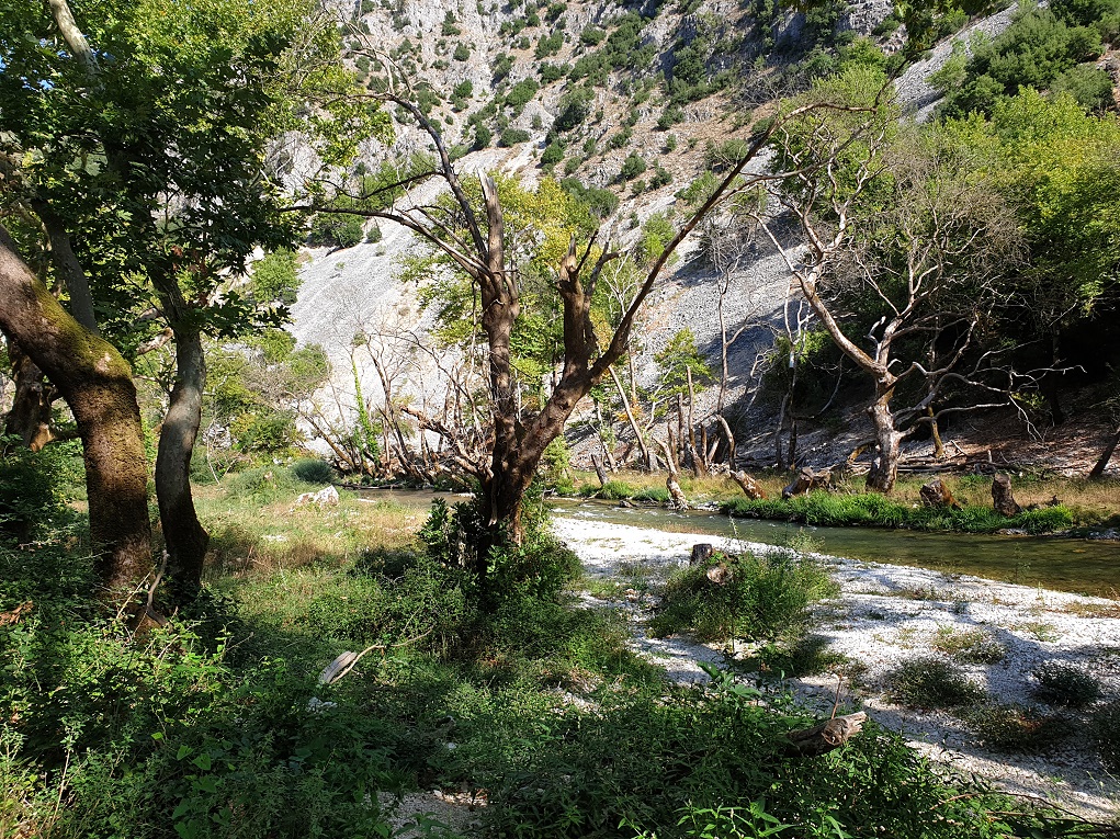 ipeiros-ta-platania-afanizontai-kai-ta-potamia-ypovathmizontai-vinteo-240786