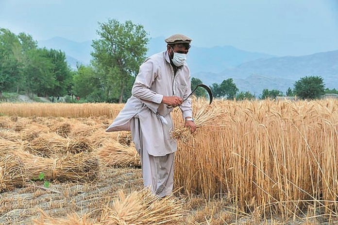 afghanistan