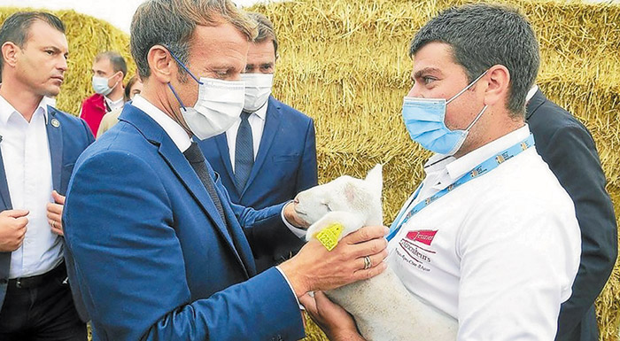 gallia-prim-600-ekat-evro-gia-neo-systima-georgikis-asfalisis-anakoinose-o-makron-241563