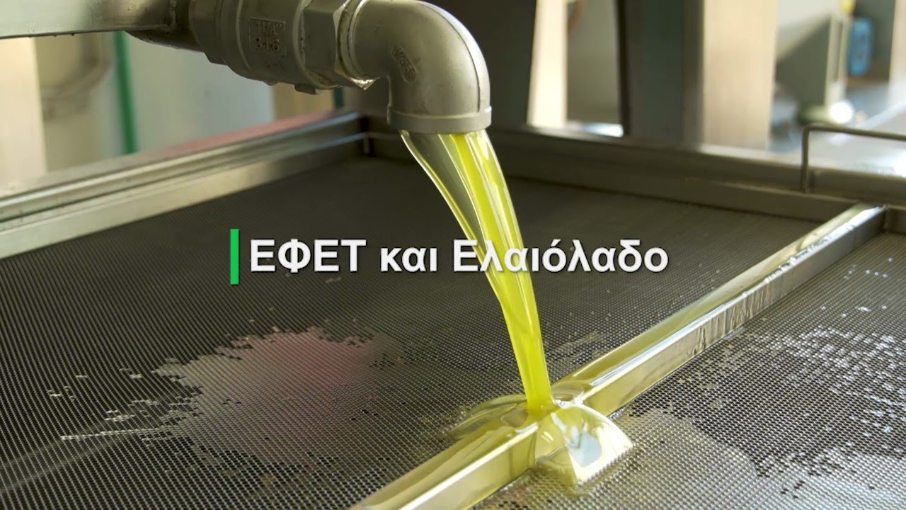 vinteo-parousiasi-apo-ton-efet-ton-energeion-tou-gia-tin-proaspisi-tis-asfaleias-ton-katanaloton-elaioladou-242686