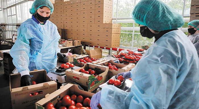 sto-mikroskopio-tis-komision-afstirotera-protypa-sta-eisagomena-agrodiatrofika-proionta-241446
