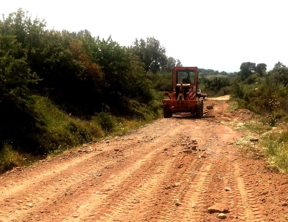paremvaseis-agrotikis-odopoiias-ston-dimos-visaltias-241733