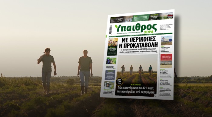 diavaste-stin-ych-me-perikopes-i-prokatavoli-tis-vasikis-enischysis-244723