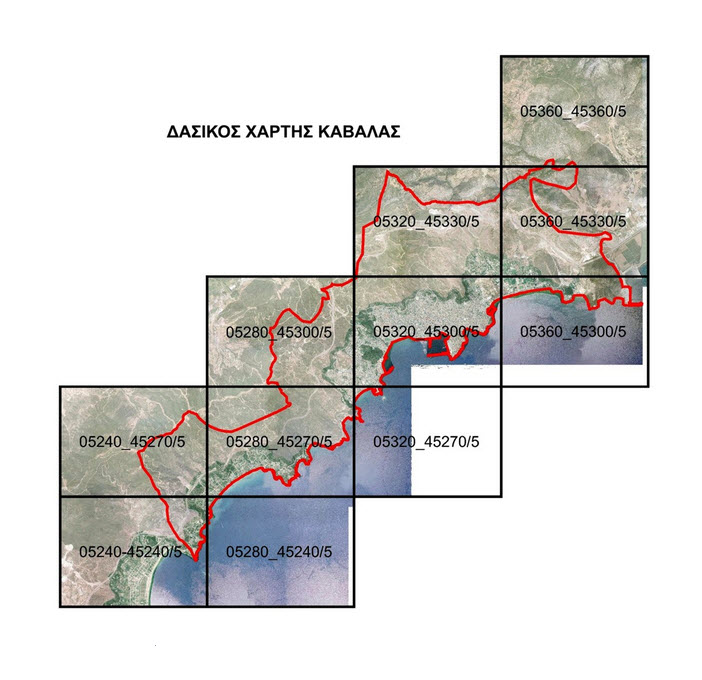 anakoinosi-tis-diefthynsis-dason-gia-tous-dasikous-chartes-tou-nomou-kavalas-245219
