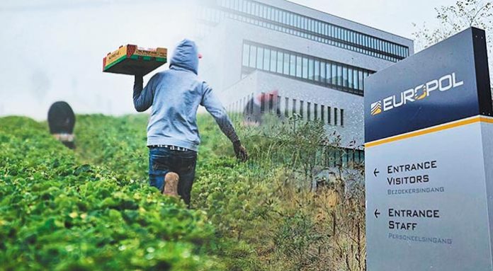 269 ​​vittime di sfruttamento sono state identificate in vigneti e piantagioni in tutta Europa