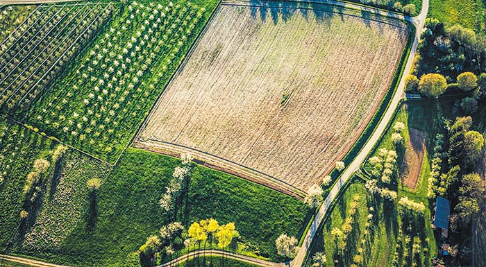 smart-agri-hub-efarmoges-effyous-georgias-apo-oli-tin-evropi-diathesimes-stous-agrotes-244173