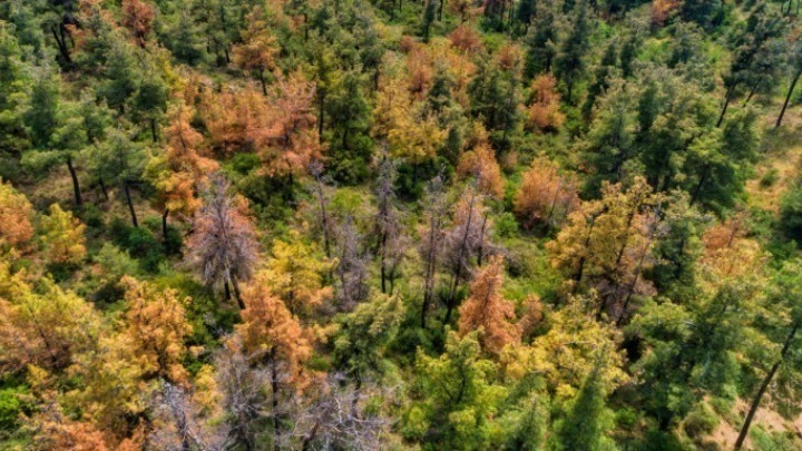 klima-den-diafainetai-ston-orizonta-to-telos-tis-apopsilosis-kathos-oi-ethnikoi-stochoi-kai-i-chrimatodotisi-den-eparkoun-243693
