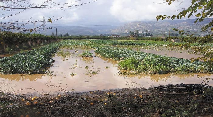 ioannina-megales-oi-zimies-stin-agrotiki-paragogi-apo-tin-kakokairia-se-exelixi-i-katagrafi-apo-ton-elga-244116