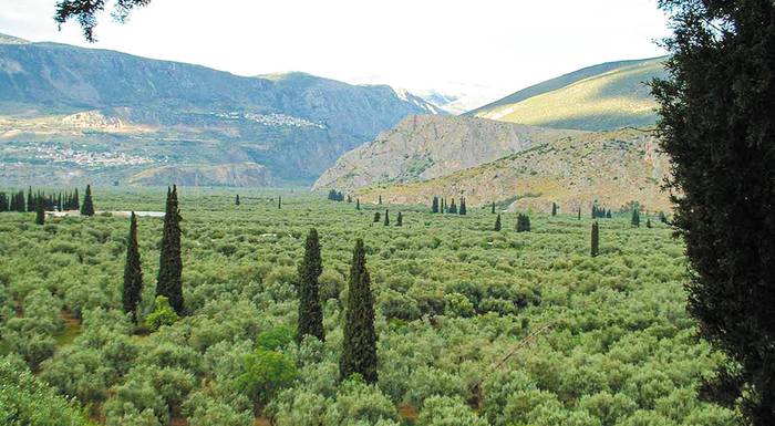 teleftaia-stigmi-oi-pliromes-ton-agroperivallontikon-sto-perimene-32-000-dikaiouchoi-248178