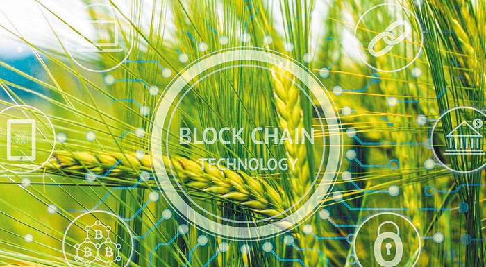 pos-ofelountai-oi-agrotes-apo-tin-technologia-tou-blockchain-247733