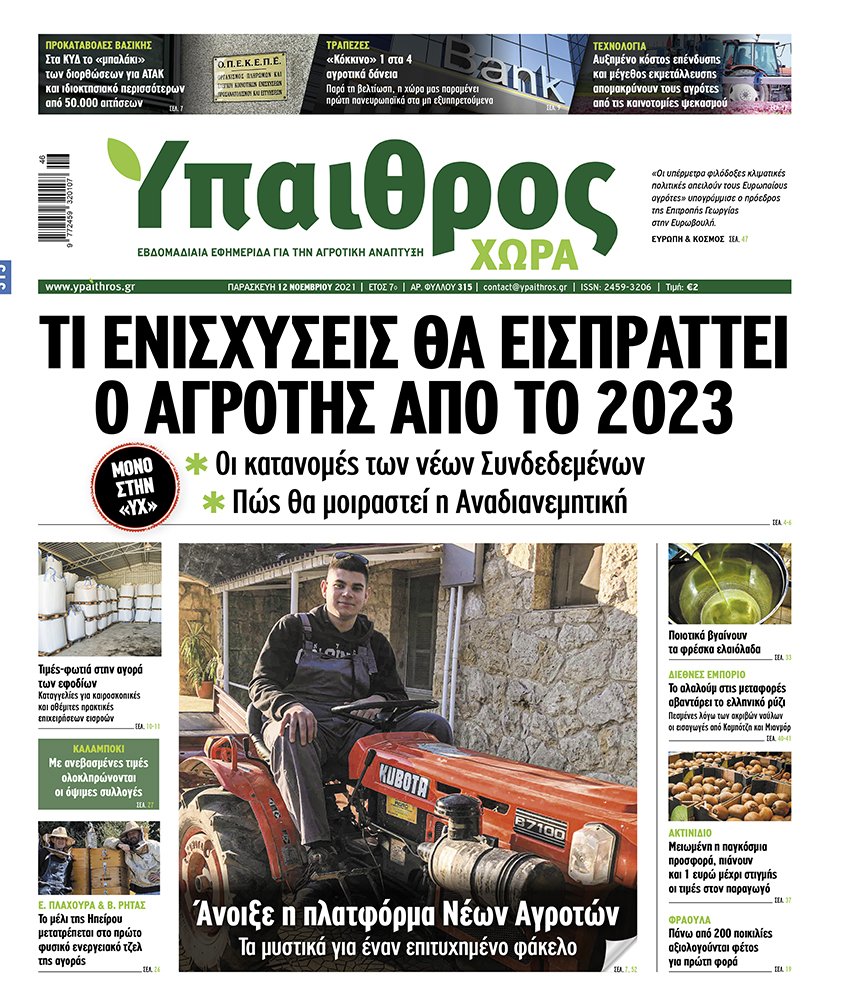 fyllo-315-paraskevi-12-noemvriou-2021-246754