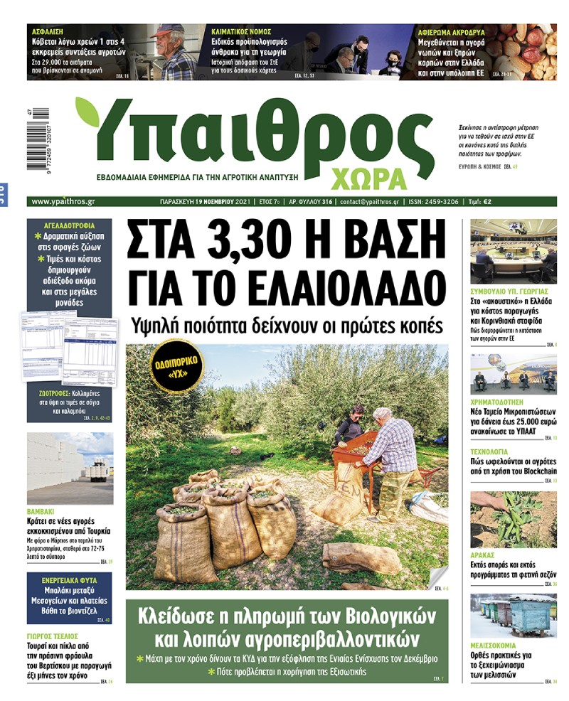 fyllo-316-paraskevi-19-noemvriou-2021-247396