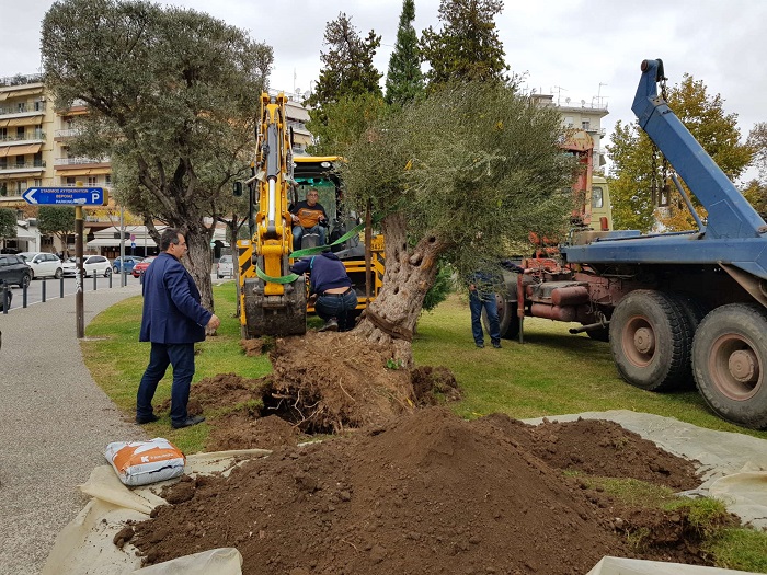 aionovies-elies-metakomisan-stin-plateia-elias-stin-veroia-247570