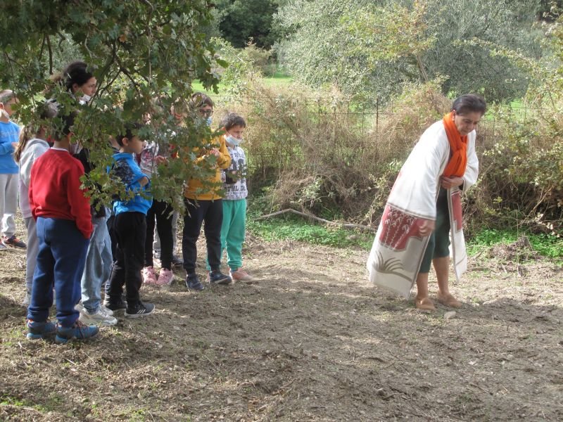 rethymno-spora-linariou-sto-aktounta-tou-agiou-vasileiou-248111