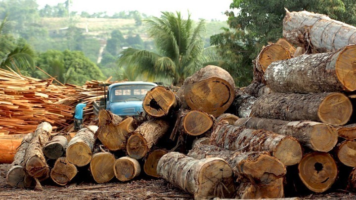 cop26-oi-pagkosmioi-igetes-tha-desmeftoun-gia-ton-termatismo-tis-apopsilosis-ton-dason-os-to-2030-245601