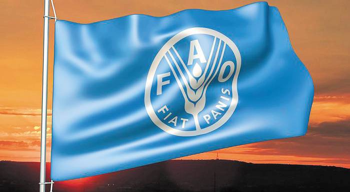 fao-oi-oikonomikes-anataraches-tha-synechisoun-na-yponomevoun-tin-agrodiatrofi-ton-choron-248141