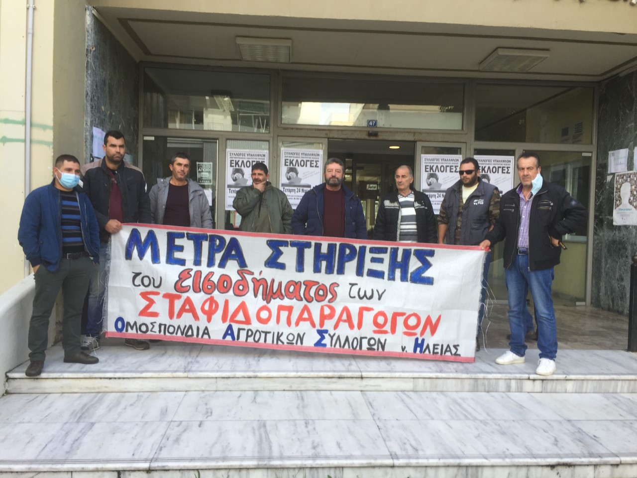 ileia-diasfaliste-tin-timi-kai-soste-tin-stafida-247933