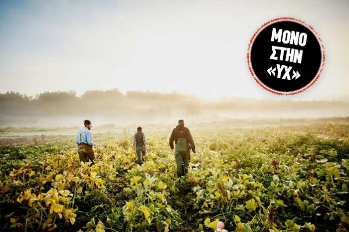 nea-kap-stin-ellada-poies-einai-pos-moirazontai-nees-syndedemenes-anadianemitiki-enisxysi-analytika-epiloges-neo