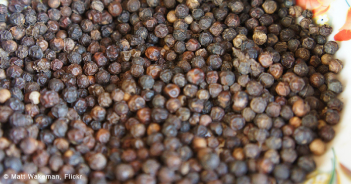 news-cambodian-pepper