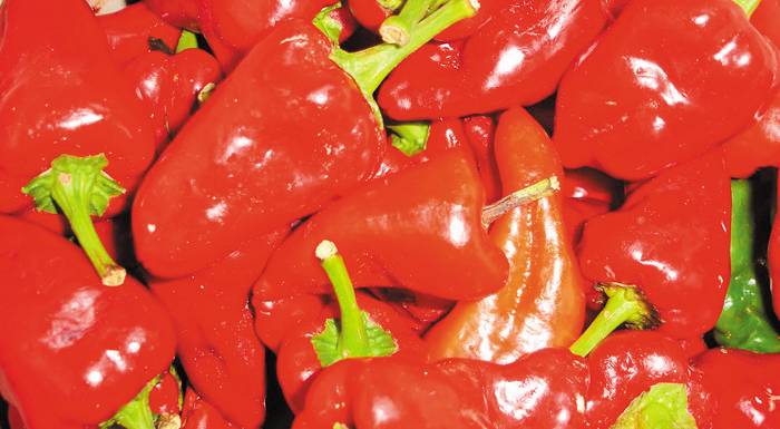 tin-anadeixi-tis-poiotitas-ton-prason-dorotheas-kai-tis-piperias-almopias-proothei-o-antiperifereiarchis-pellas-248135