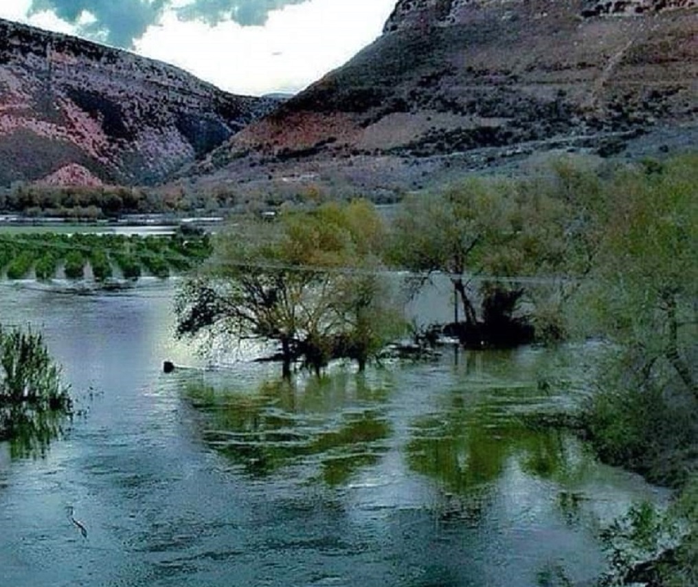 thesprotia-se-oriaki-katastasi-o-potamos-kalamas-kateklyse-chorafia-me-esperidoeidi-248254