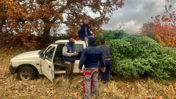 thessaloniki-perizitita-ta-elata-taxiarchi-chalkidikis-stin-ellada-kai-to-exoteriko-248318