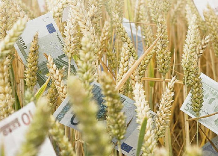 wheat-field-with-money-dan-brownsword