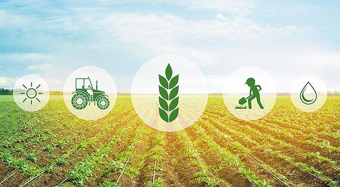 smartagrihub-afxisi-esodon-mechri-kai-15-kai-meiosi-kostous-paragogis-mechri-kai-9-meso-tis-stochevmenis-prognosis-kairou-249510