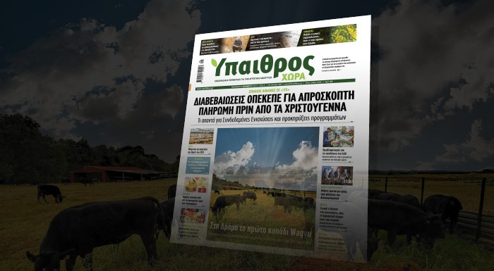 diavaste-stin-ych-synentefxi-sp-livanou-o-opekepe-mas-echei-diavevaiosei-oti-i-pliromi-tha-stefthei-me-epitychia-prin-apo-ta-christougenna-248580