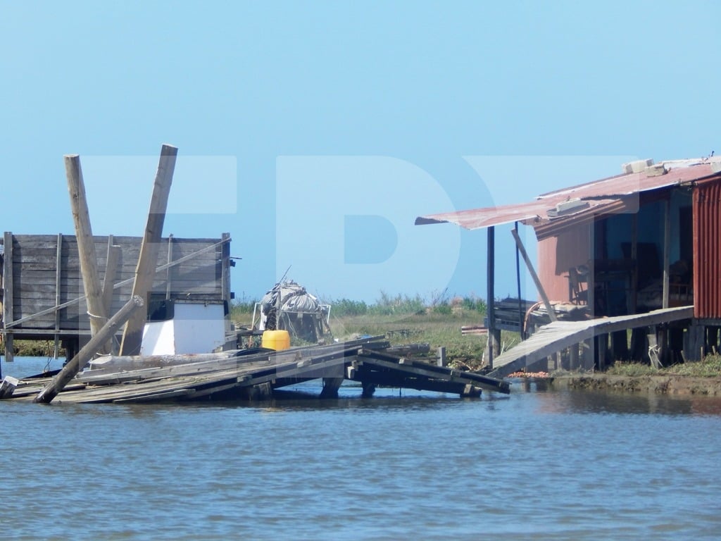 ena-chrono-zois-stis-kalyves-tou-delta-tou-evrou-248470