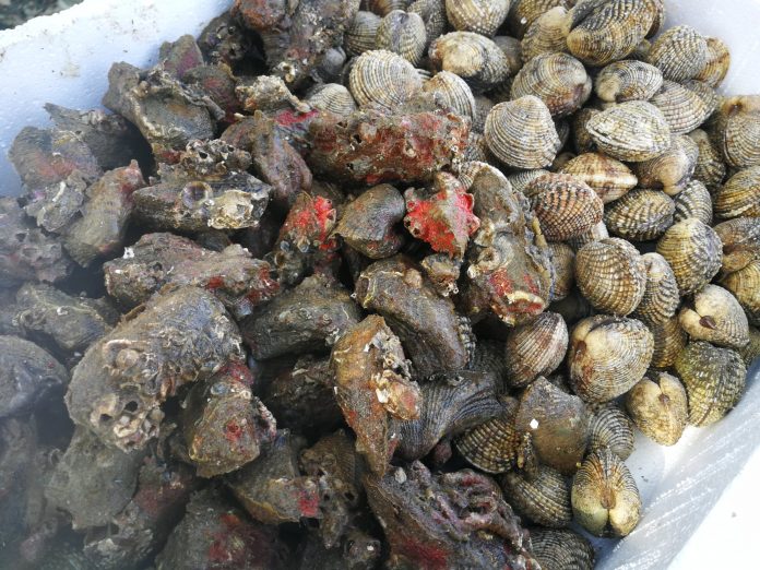 kataggelies-anafores-zimies-kanoun-ostrakalieis-lesbou-allon-perioxon-elladas