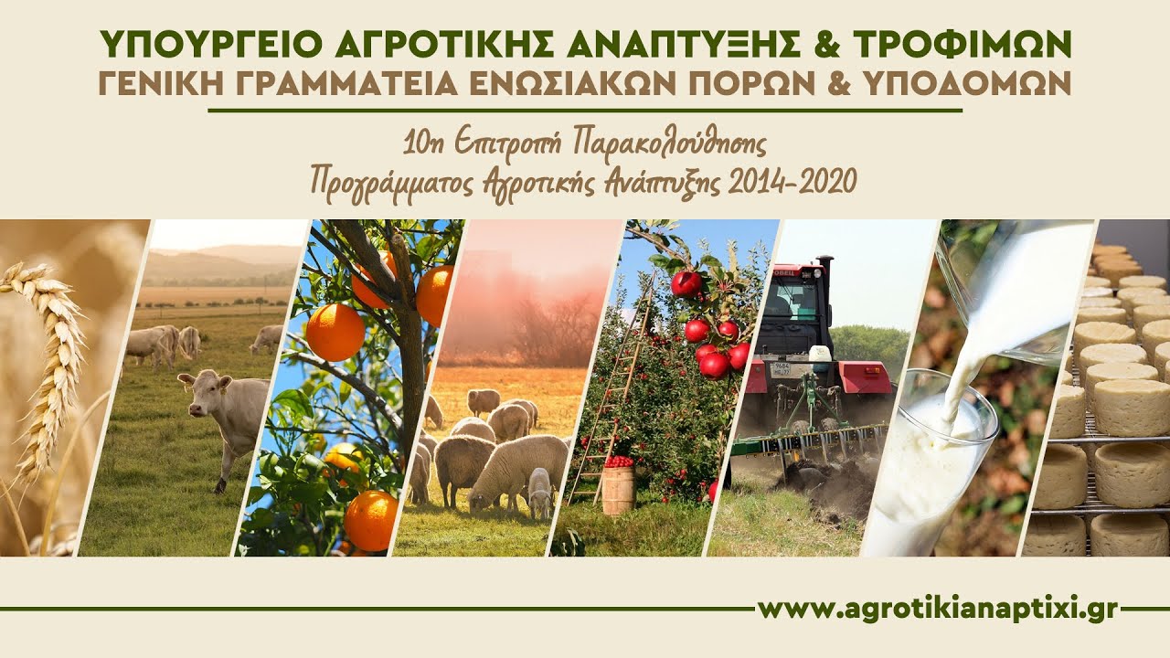 tin-paraskevi-10-12-sti-nafpakto-i-epitropi-parakolouthisis-tou-paa-249140