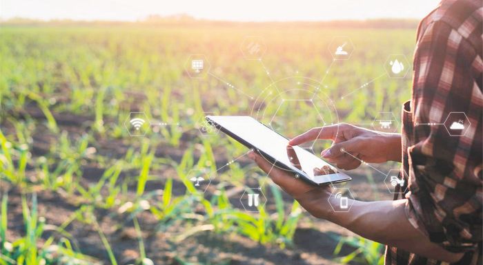 eip-agri-parousiasi-30-diaforetikon-ergon-effyous-georgias-gia-tous-agrotes-251433