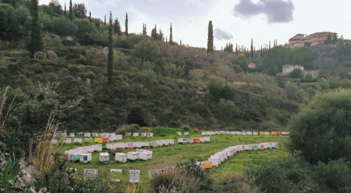 16_topos_peloponisos-web-resources_κ2_700x385