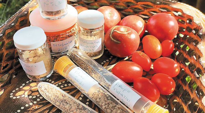 viomimitiki-georgia-se-agroktima-tis-thessalonikis-252056
