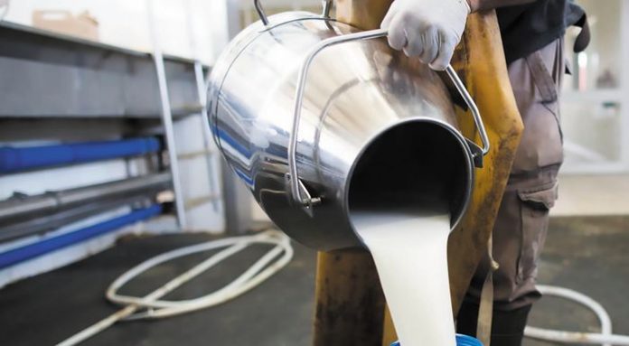 Israeli Dairy Market