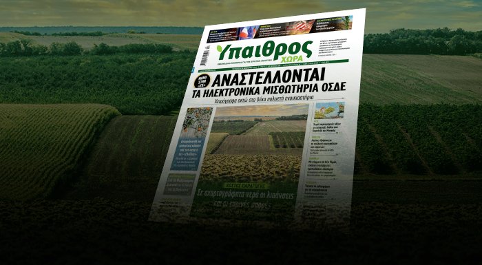 diavaste-apokleistika-stin-ych-anastellontai-ta-ilektronika-misthotiria-gia-to-osde-253219