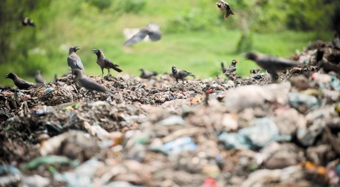 GLOBAL ISSUES - WASTE