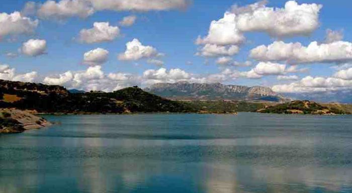 sovara-erotimata-gia-tin-viosimotita-kai-tous-skopous-tou-fotovoltaikou-tis-eas-agriniou-stin-ileia-thetei-to-tee-252396