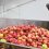 Άνοδο καταγράφει η αγορά μήλων σε παγκόσμιο και ευρωπαϊκό επίπεδο