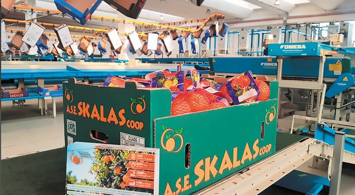 vathia-anasa-gia-ton-ase-skalas-meta-ti-rythmisi-chreon-pros-tin-palia-ate-255161
