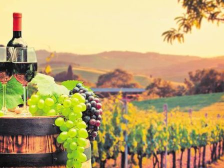 sto-20-oi-epicheiriseis-pou-ependyoun-ston-oinotourismo-alla-choris-stirixi-254274