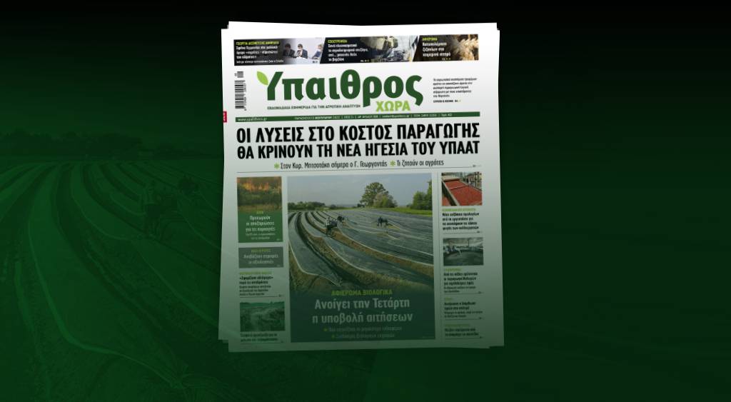 diavaste-stin-ych-oi-lyseis-sto-kostos-paragogis-tha-krinoun-tin-nea-igesia-tou-ypaat-254521