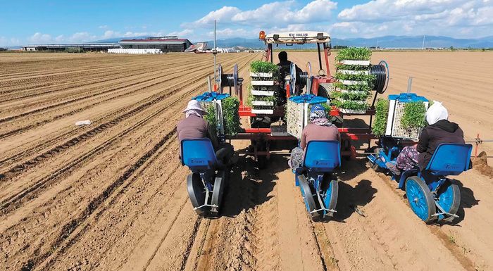 mechri-28-fevrouariou-to-kleisimo-timis-me-extra-10-evro-gia-ti-viomichaniki-sto-nomiko-254703