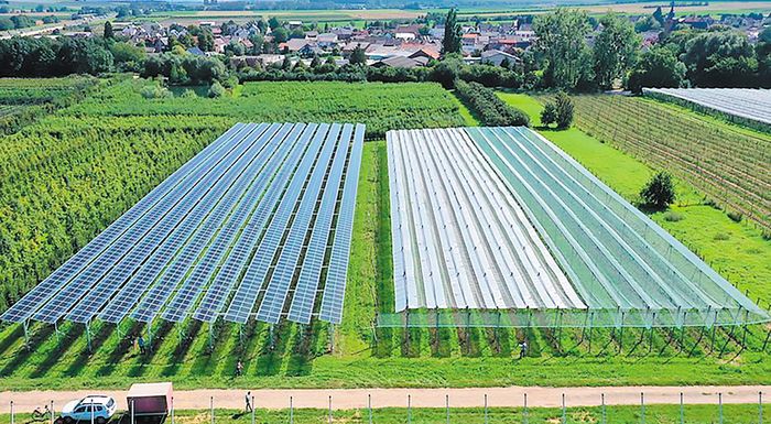 germania-i-agrotiki-koinotita-antidra-sti-maziki-epektasi-ton-agrotikon-fotovoltaikon-255623