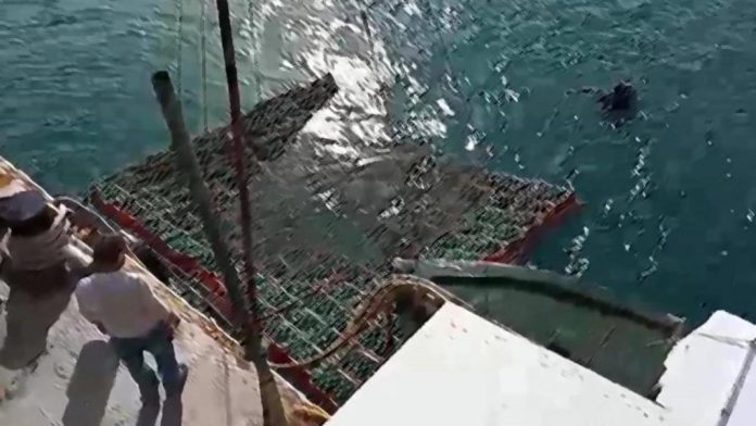 kelari_thalassa-1